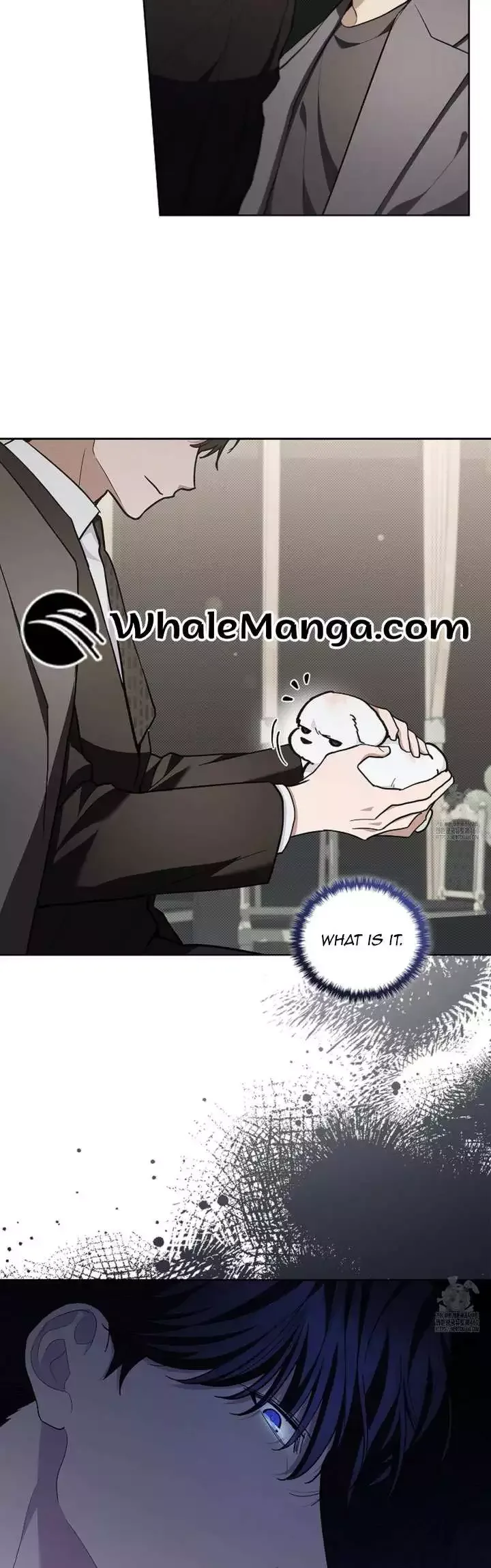 Don’t Mess With The Puppy! Chapter 11 page 21