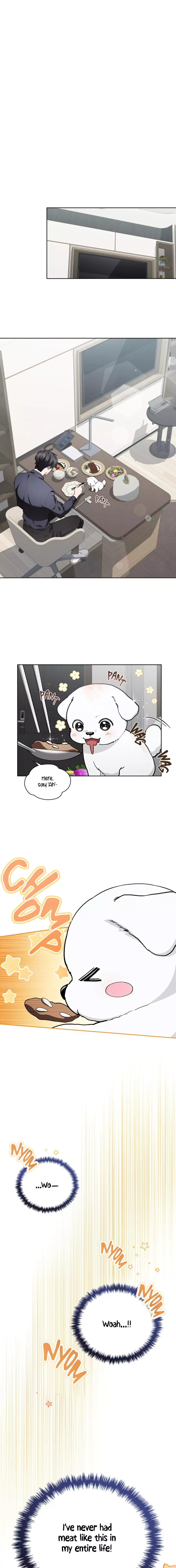 Don’t Mess With The Puppy! Chapter 12 page 13