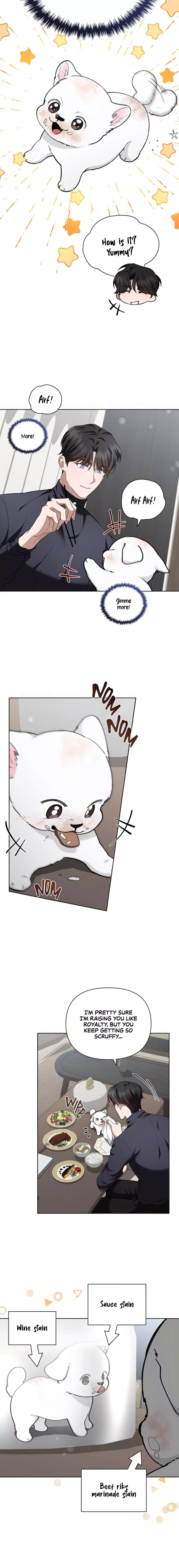 Don’t Mess With The Puppy! Chapter 12 page 14