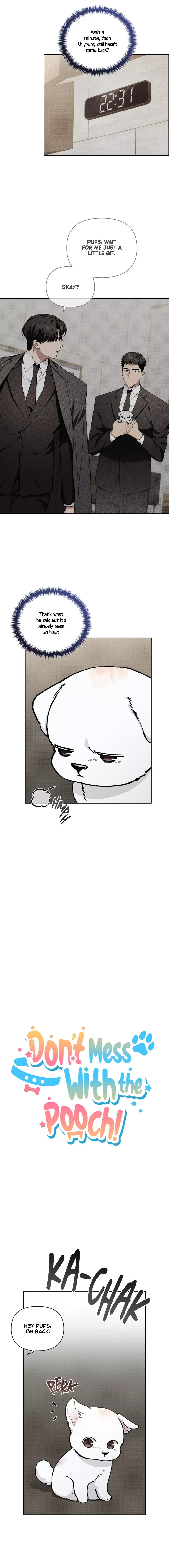 Don’t Mess With The Puppy! Chapter 12 page 5