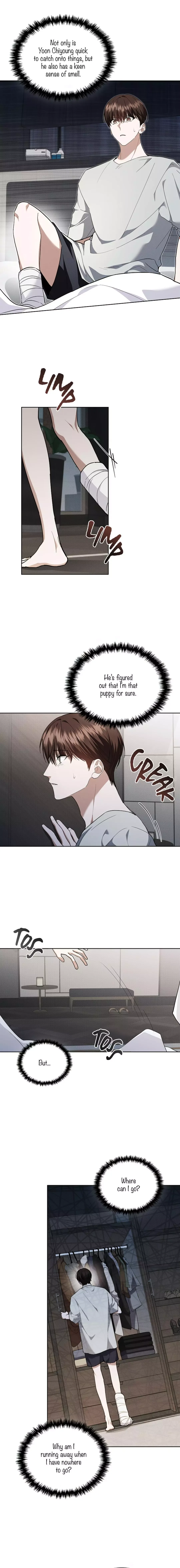 Don’t Mess With The Puppy! Chapter 16 page 12
