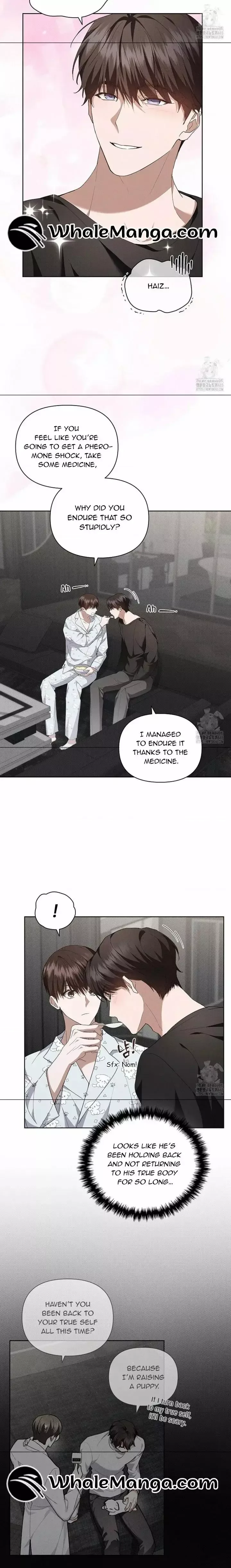 Don’t Mess With The Puppy! Chapter 19 page 21