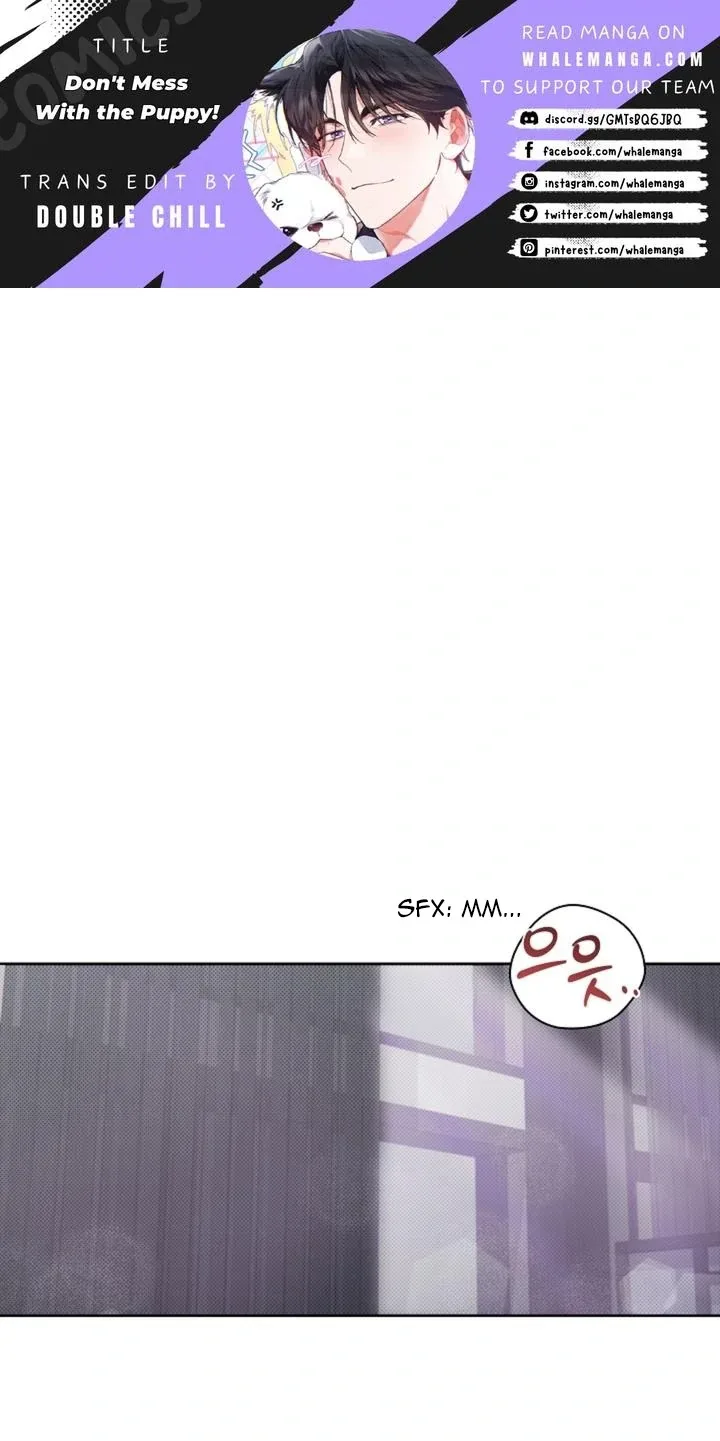 Don’t Mess With The Puppy! Chapter 26 page 2