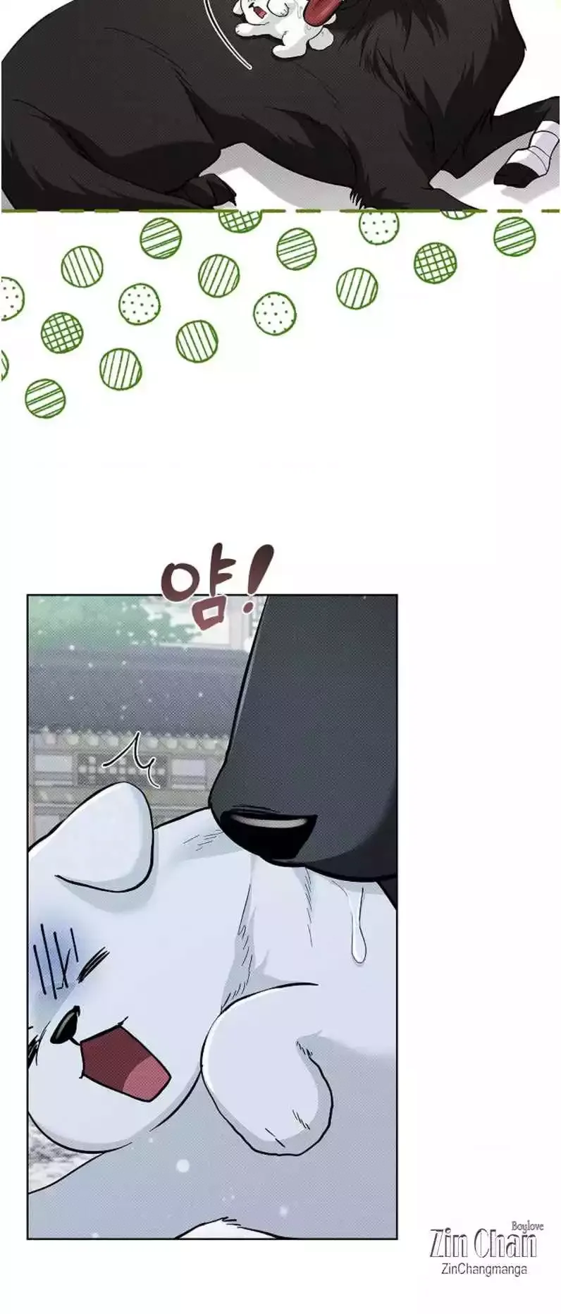 Don’t Mess With The Puppy! Chapter 34 page 17