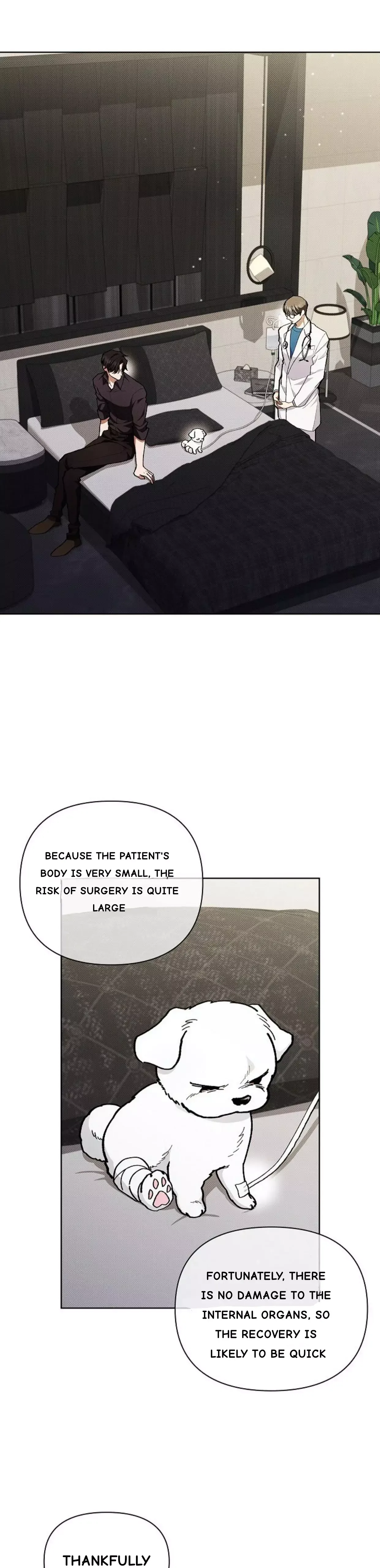 Don’t Mess With The Puppy! Chapter 4 page 2