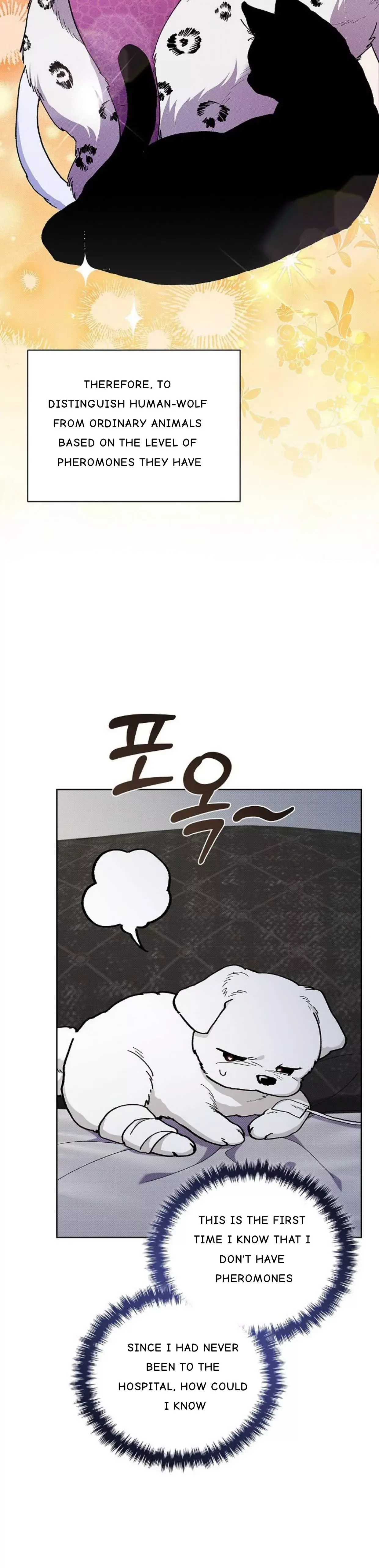 Don’t Mess With The Puppy! Chapter 4 page 5