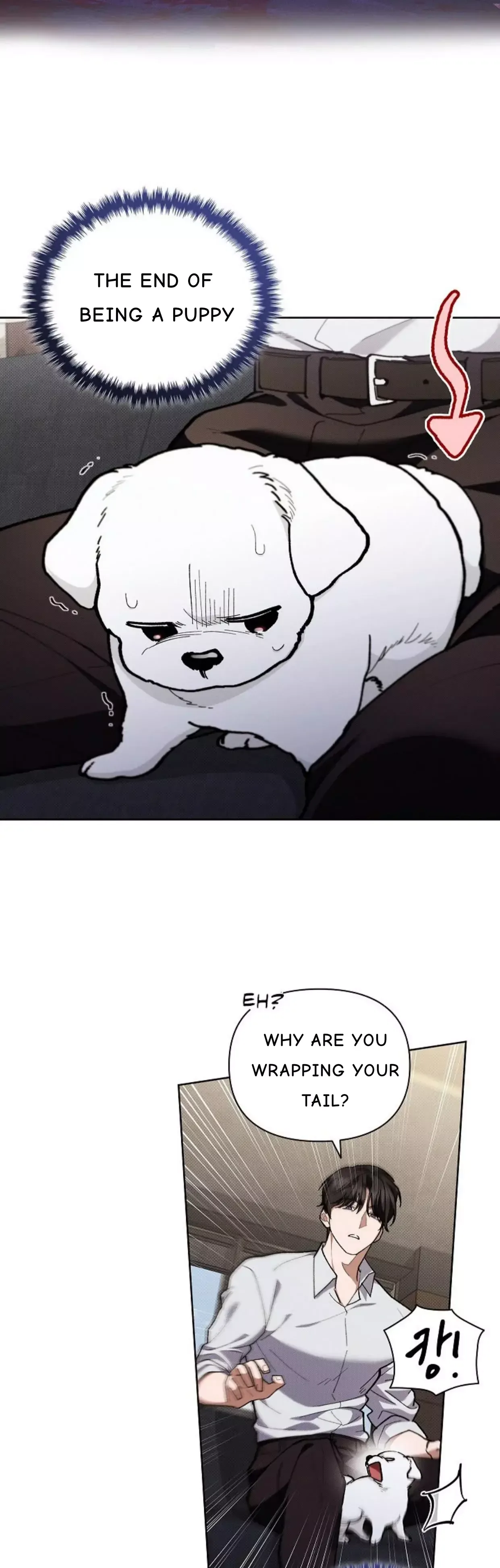 Don’t Mess With The Puppy! Chapter 4 page 36