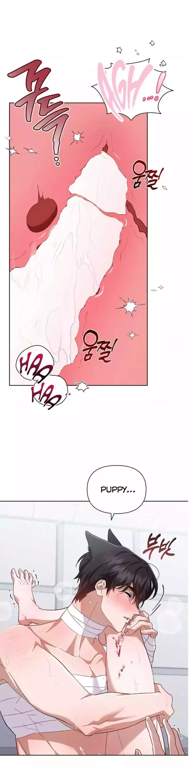 Don’t Mess With The Puppy! Chapter 42 page 13