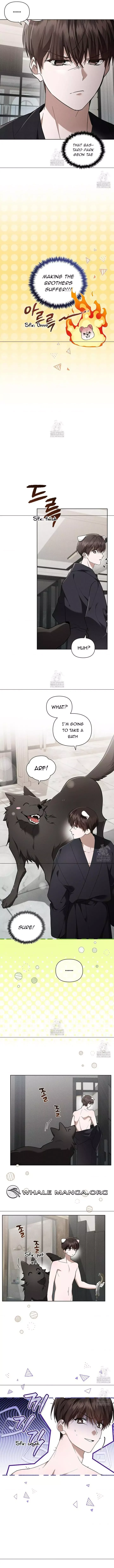 Don’t Mess With The Puppy! Chapter 45 page 8