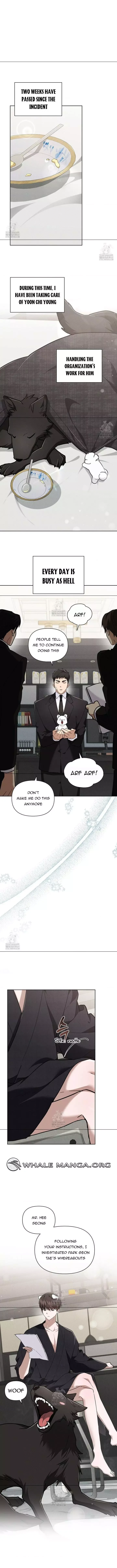 Don’t Mess With The Puppy! Chapter 45 page 4