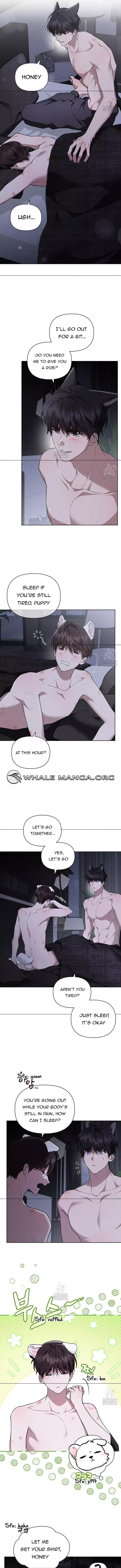 Don’t Mess With The Puppy! Chapter 45 page 12