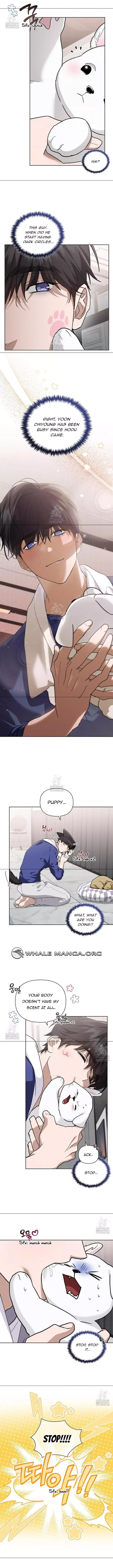 Don’t Mess With The Puppy! Chapter 47 page 7