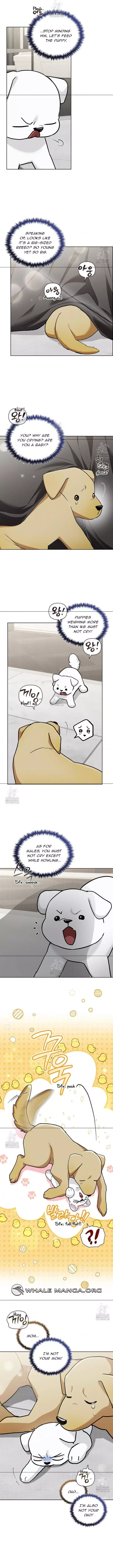 Don’t Mess With The Puppy! Chapter 47 page 4