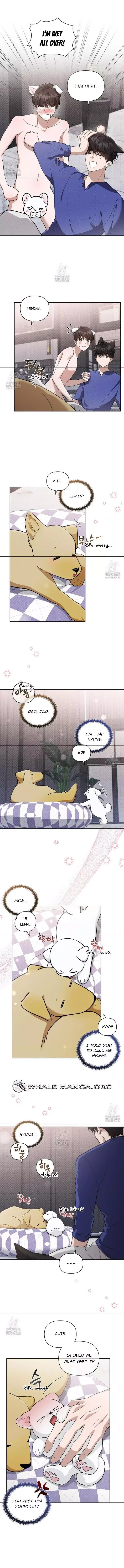 Don’t Mess With The Puppy! Chapter 47 page 8