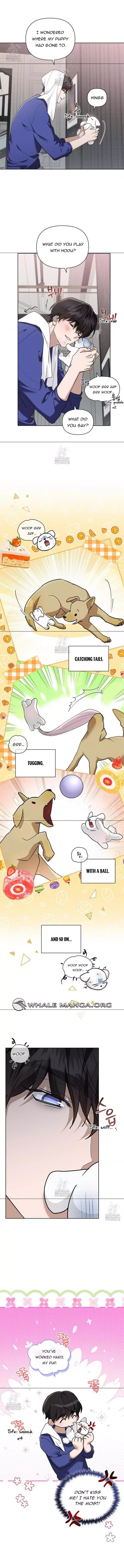 Don’t Mess With The Puppy! Chapter 47 page 6