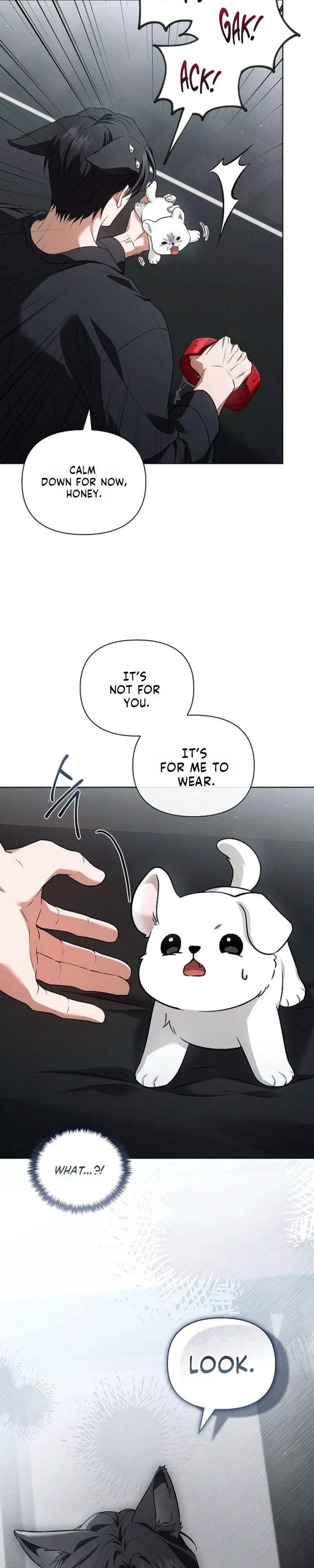 Don’t Mess With The Puppy! Chapter 60 page 18