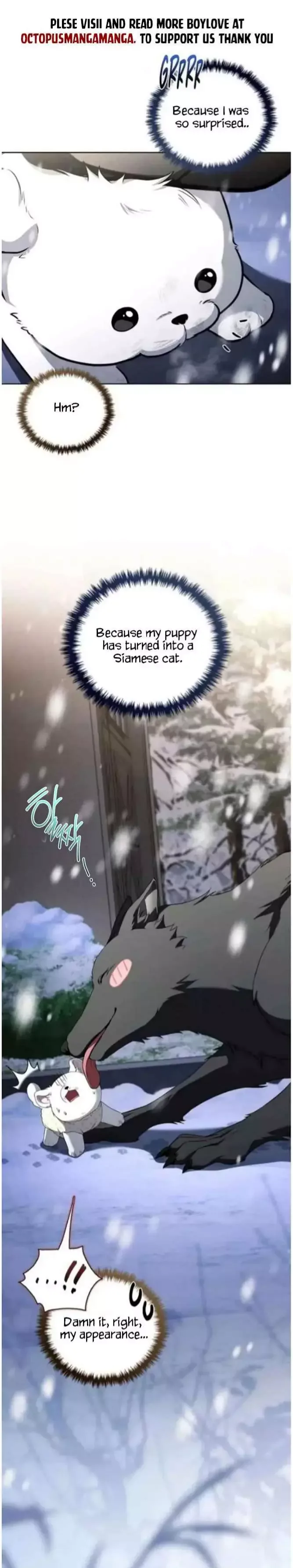 Don’t Mess With The Puppy! Chapter 71 page 4