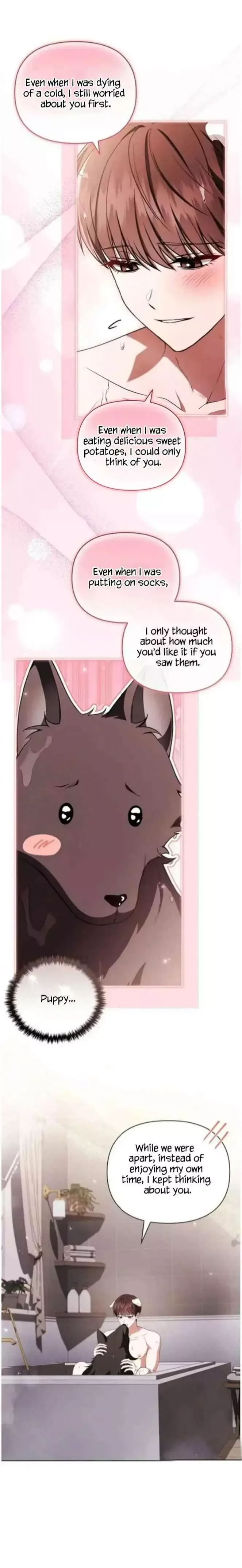 Don’t Mess With The Puppy! Chapter 71 page 17