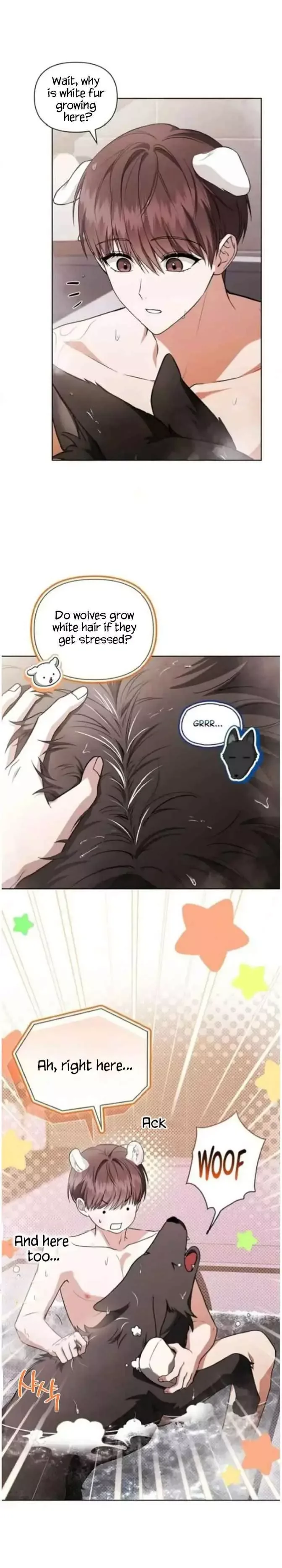 Don’t Mess With The Puppy! Chapter 71 page 13