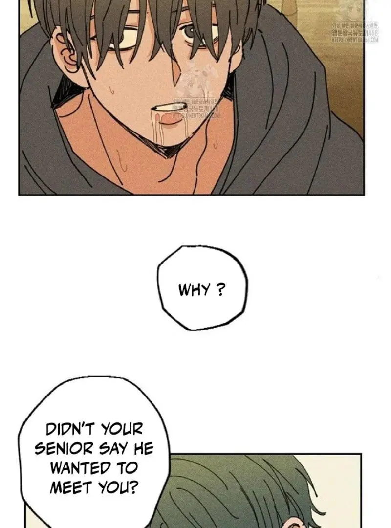 Easy Senior Chapter 5 page 16