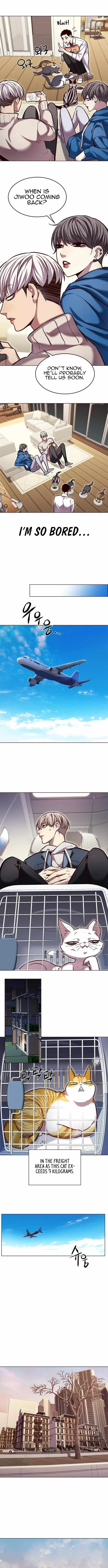 Eleceed (EN) Chapter 231 page 6