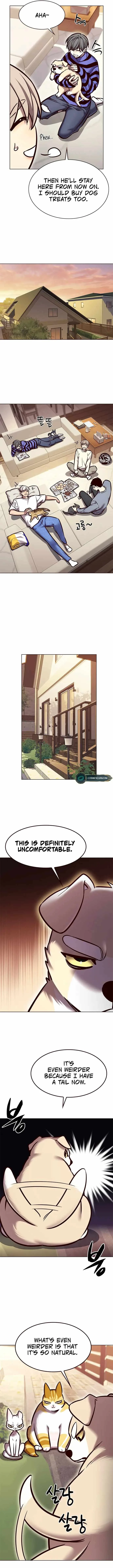 Eleceed (EN) Chapter 280 page 6