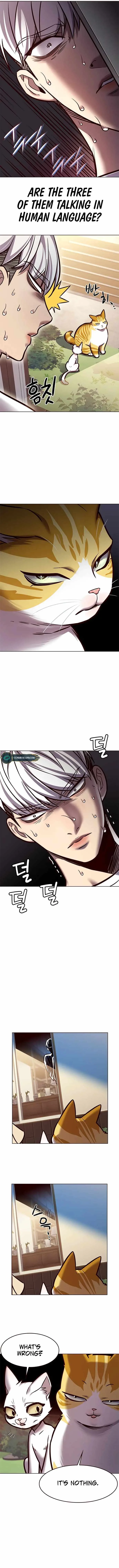 Eleceed (EN) Chapter 280 page 8