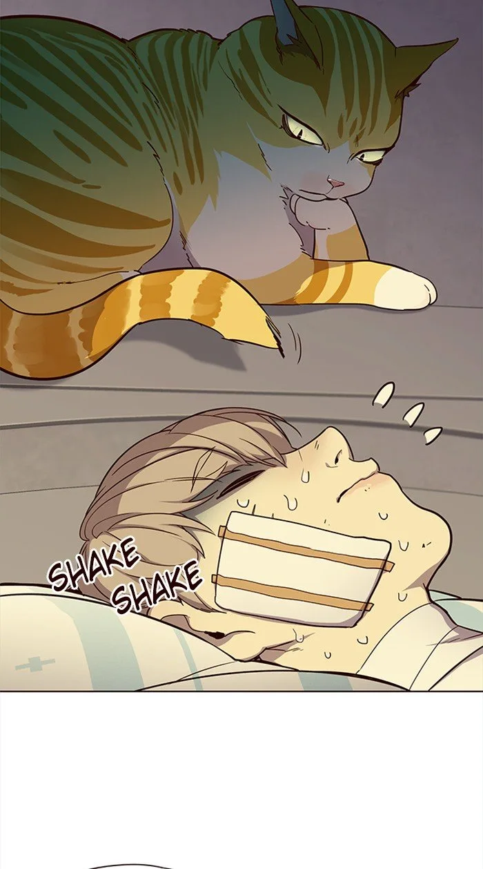 Eleceed (EN) Chapter 29 page 13