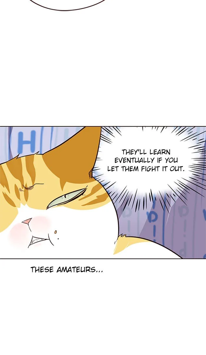 Eleceed (EN) Chapter 34 page 38