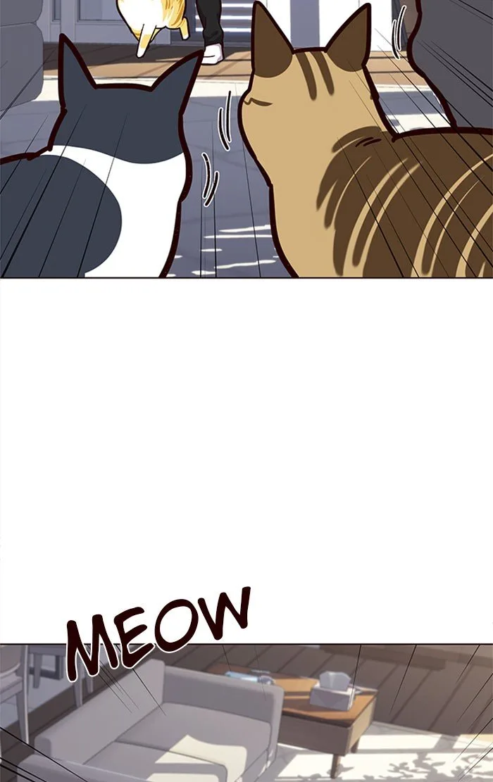 Eleceed (EN) Chapter 34 page 64