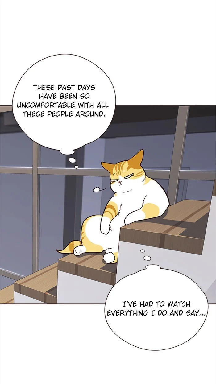 Eleceed (EN) Chapter 35 page 42