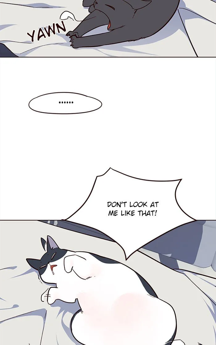 Eleceed (EN) Chapter 35 page 78