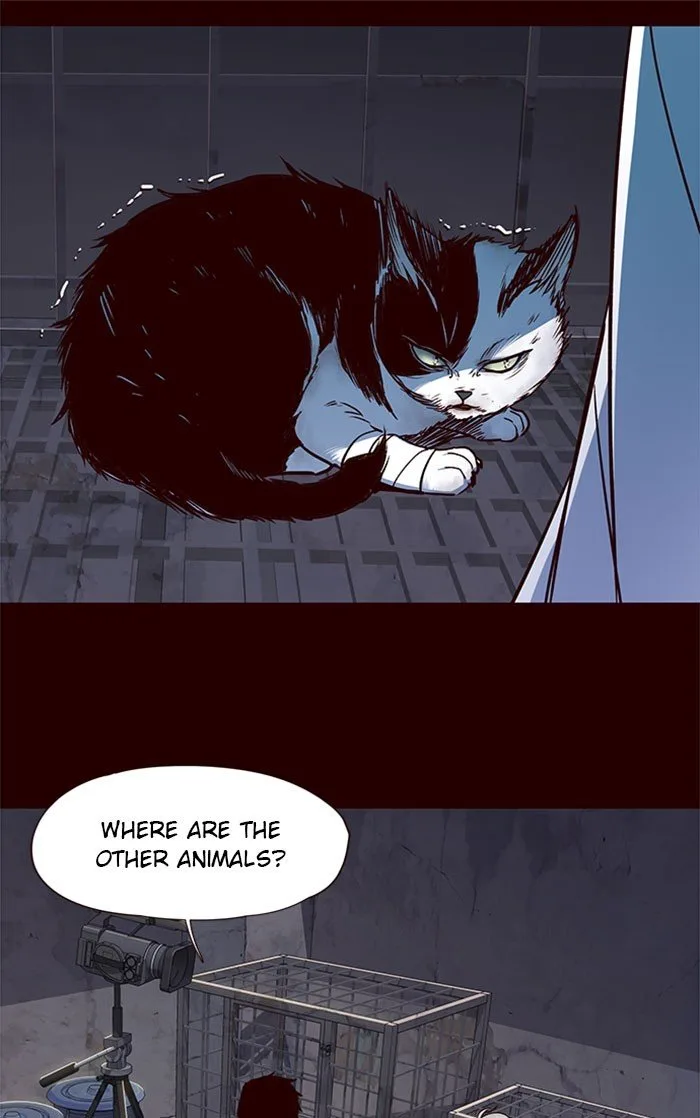 Eleceed (EN) Chapter 36 page 10