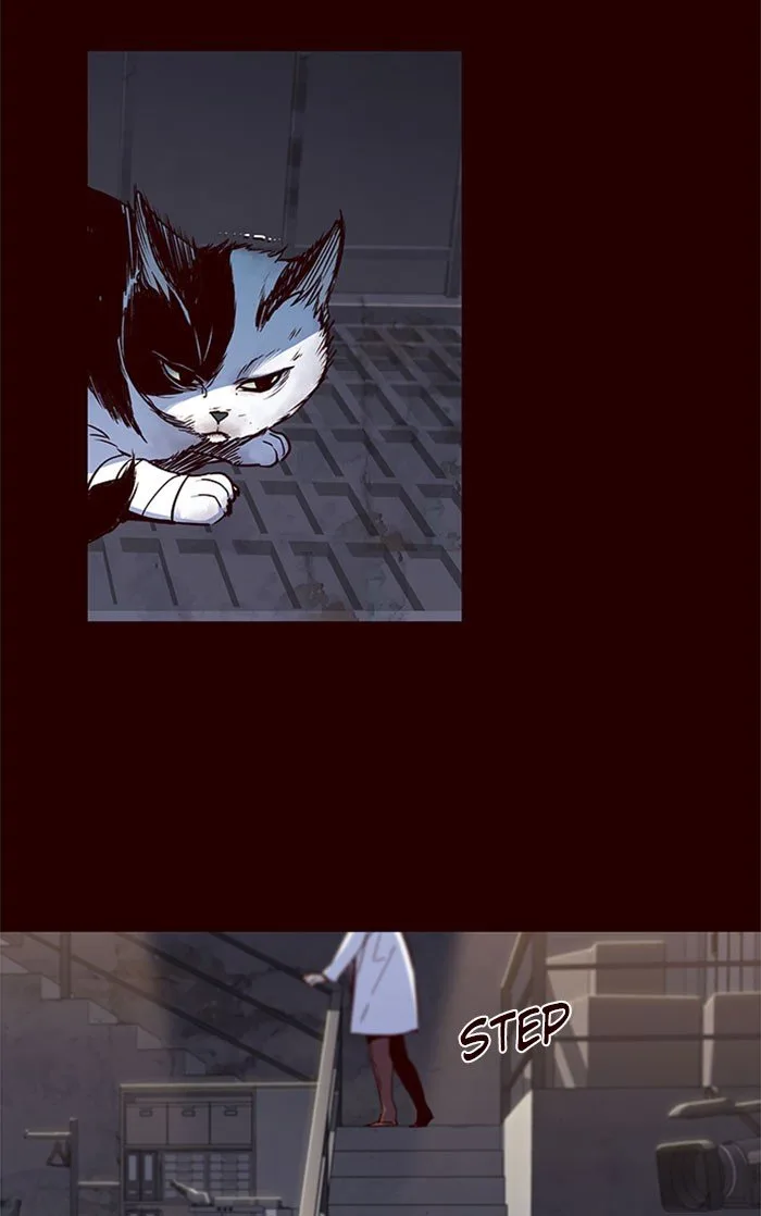 Eleceed (EN) Chapter 36 page 15