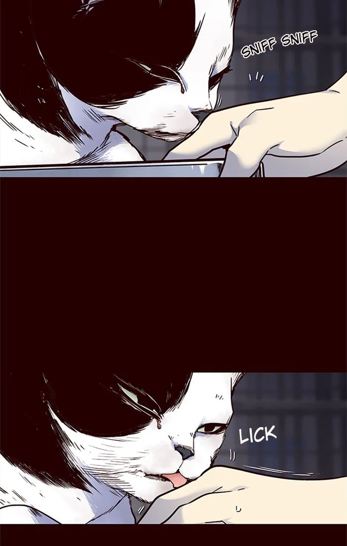 Eleceed (EN) Chapter 36 page 20