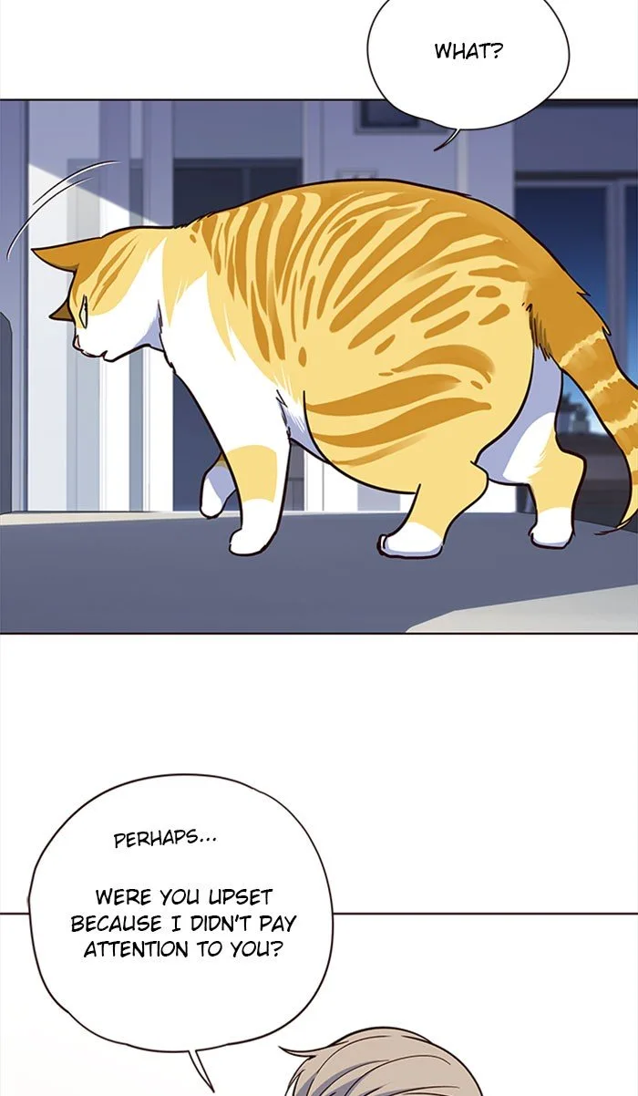 Eleceed (EN) Chapter 36 page 63