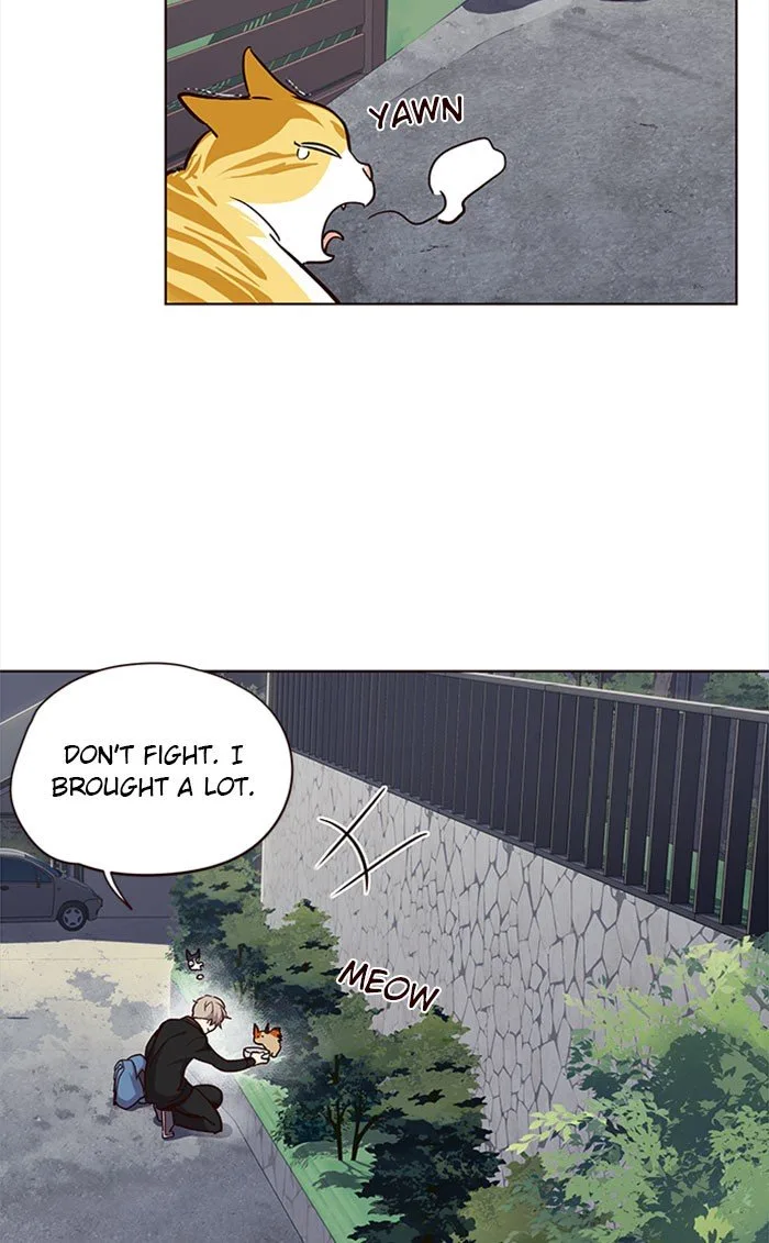 Eleceed (EN) Chapter 36 page 71