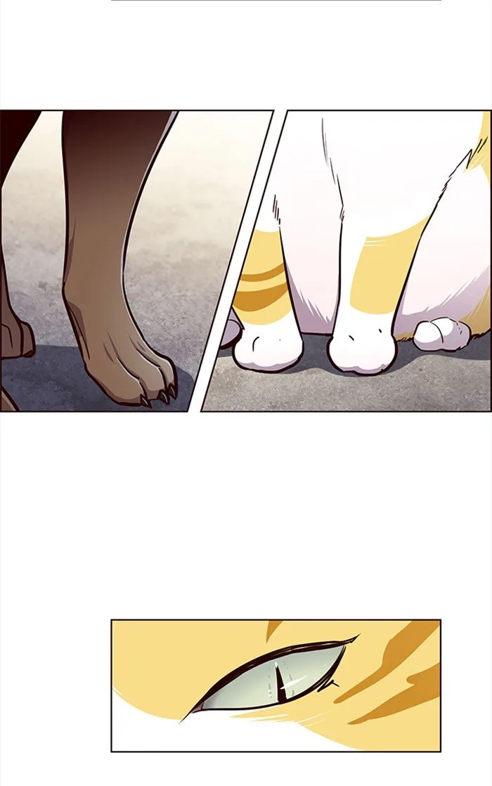 Eleceed (EN) Chapter 36 page 89