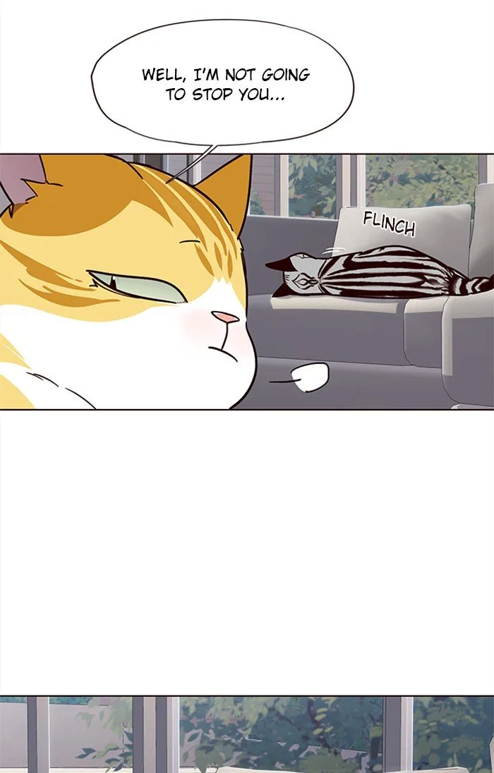 Eleceed (EN) Chapter 37 page 30