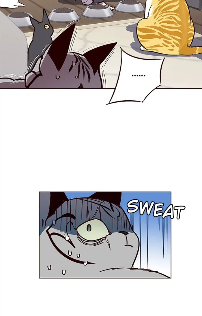 Eleceed (EN) Chapter 37 page 33