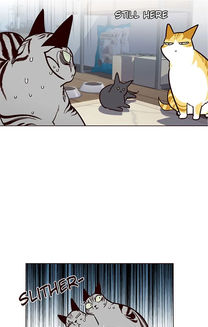 Eleceed (EN) Chapter 37 page 40