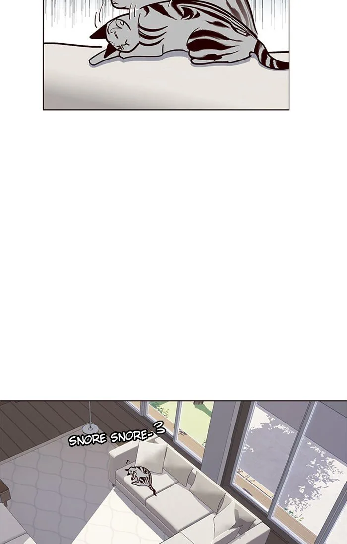 Eleceed (EN) Chapter 37 page 41