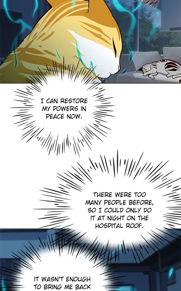 Eleceed (EN) Chapter 37 page 44