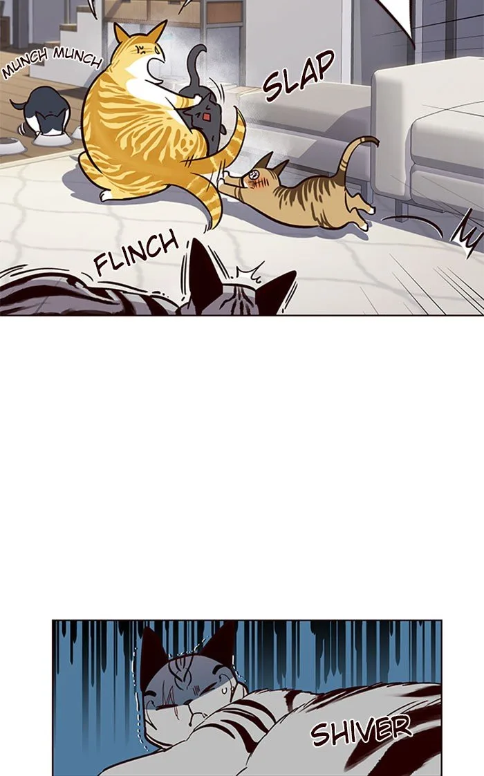 Eleceed (EN) Chapter 37 page 49