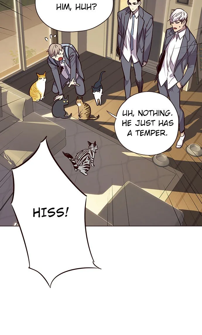 Eleceed (EN) Chapter 38 page 28