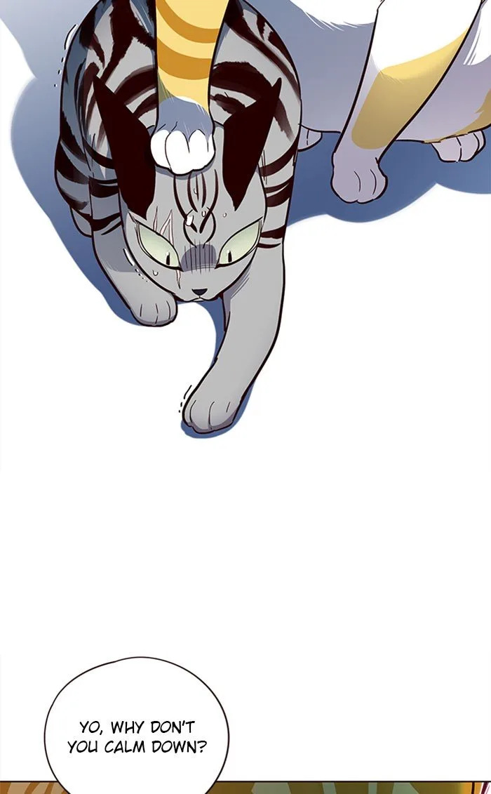 Eleceed (EN) Chapter 38 page 33