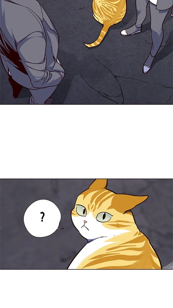 Eleceed (EN) Chapter 41 page 47