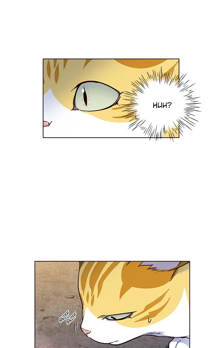 Eleceed (EN) Chapter 41 page 50