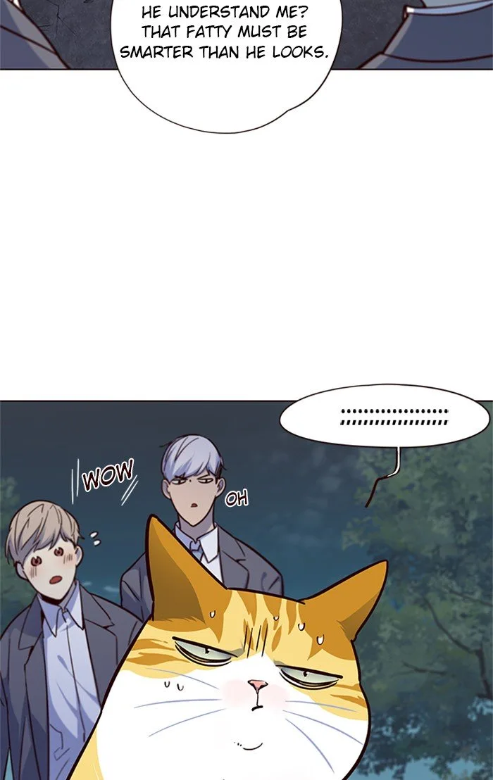 Eleceed (EN) Chapter 41 page 53