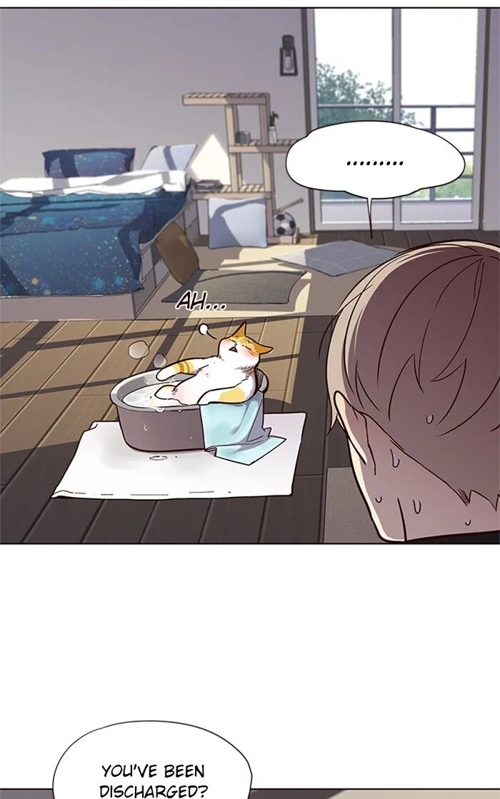 Eleceed (EN) Chapter 47 page 34